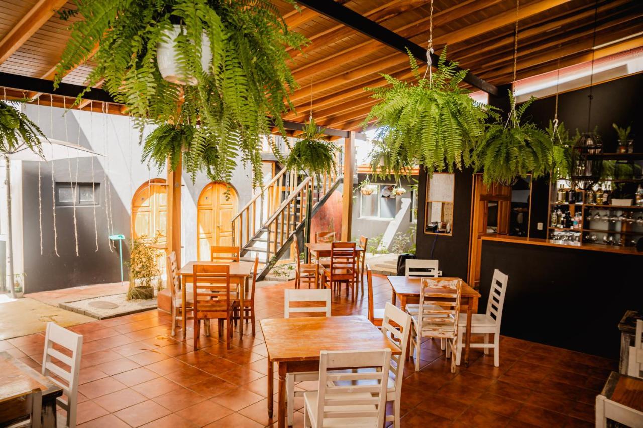 Luz De Luna Hotel Barrio Escalante サンホセ エクステリア 写真