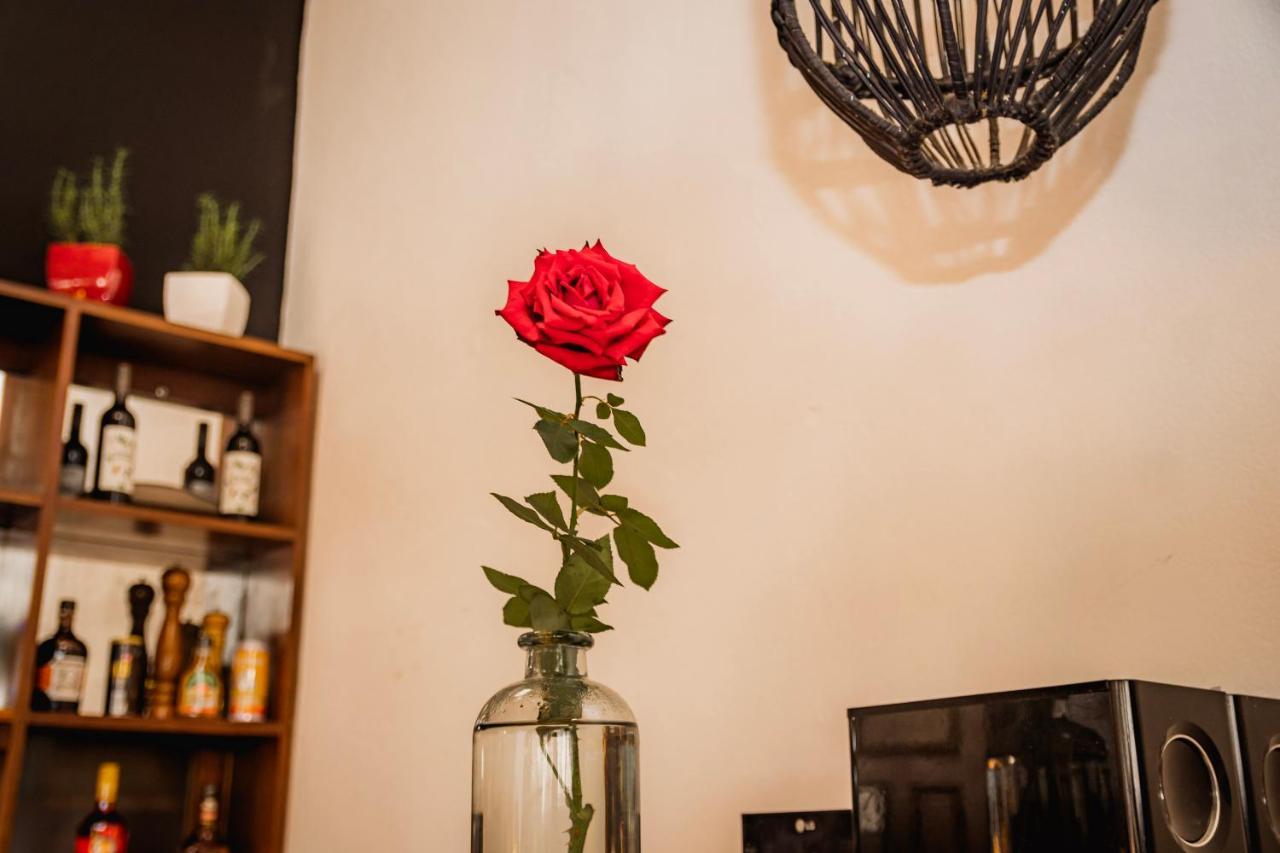 Luz De Luna Hotel Barrio Escalante サンホセ エクステリア 写真