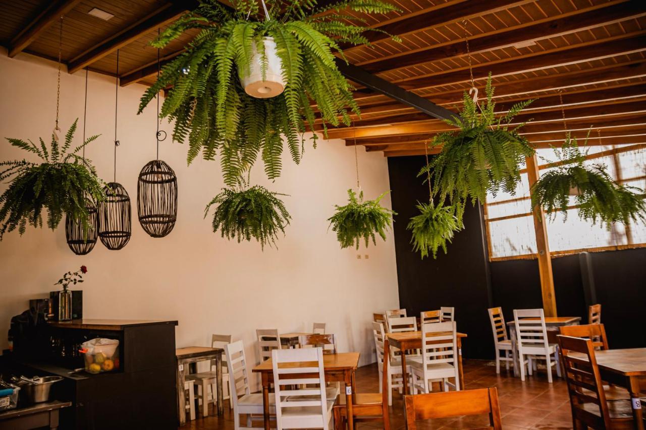 Luz De Luna Hotel Barrio Escalante サンホセ エクステリア 写真