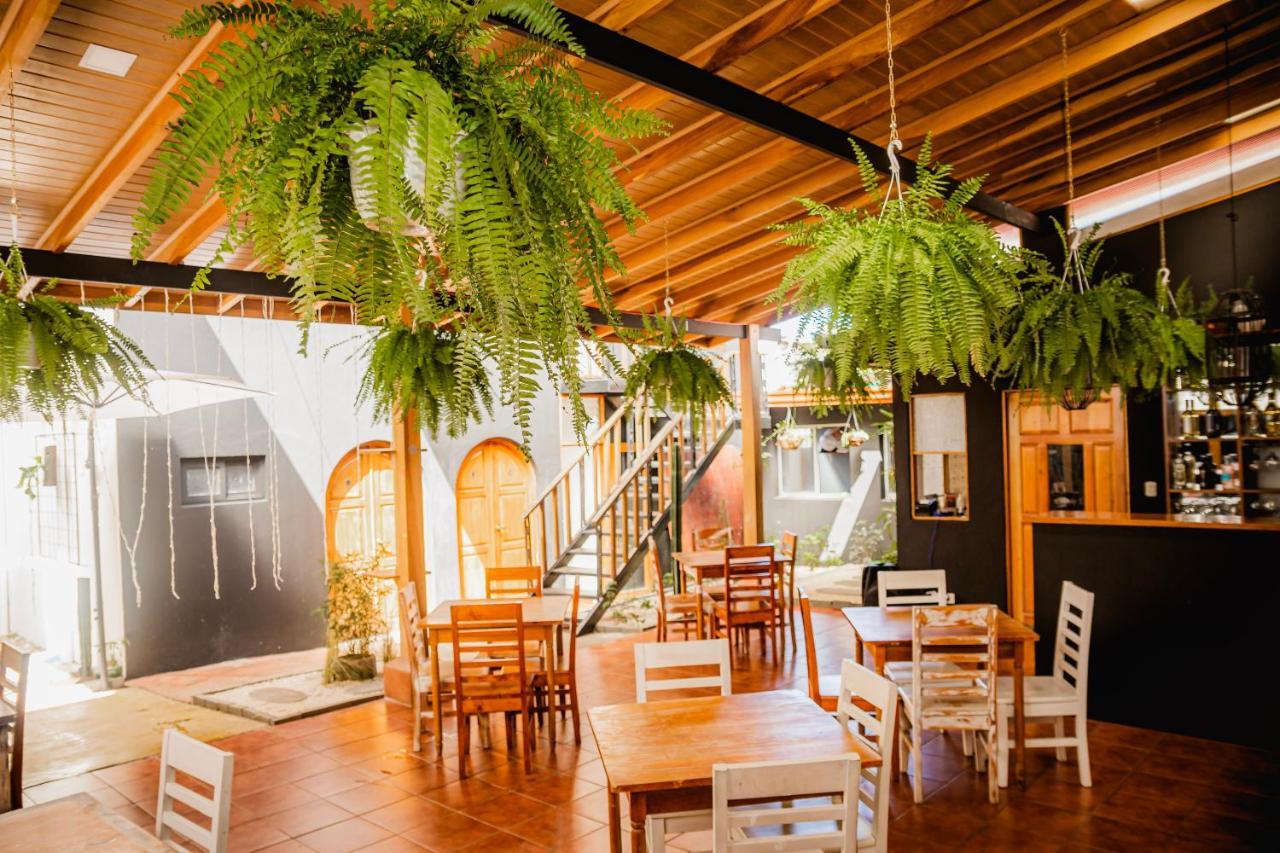 Luz De Luna Hotel Barrio Escalante サンホセ エクステリア 写真