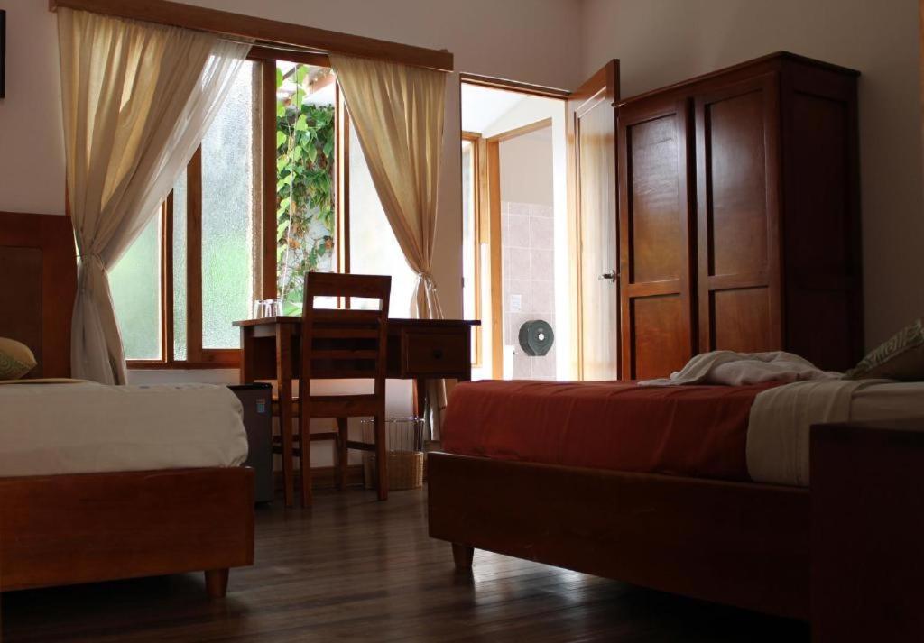 Luz De Luna Hotel Barrio Escalante サンホセ エクステリア 写真